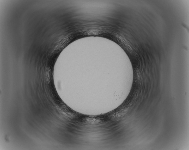X0000096470311200802211157