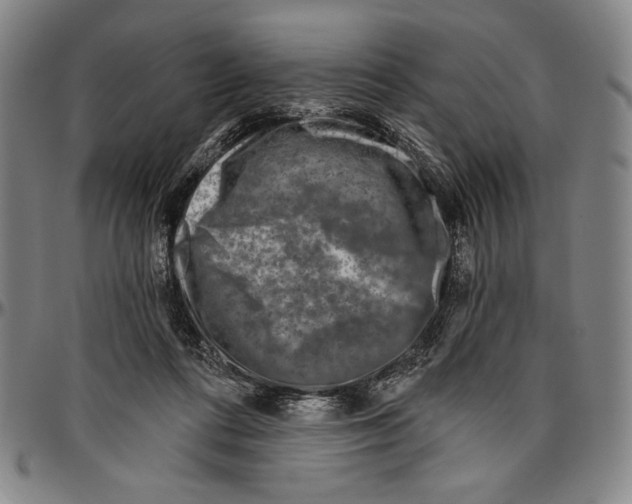 X0000096470312200802211157