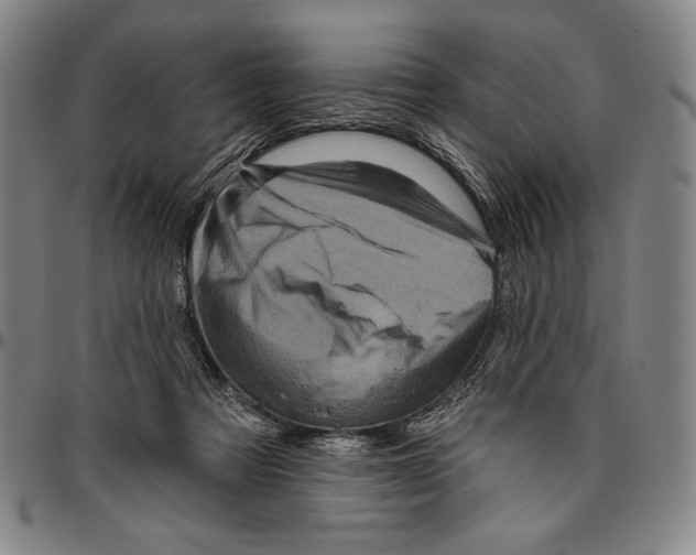 X0000096470313200802211157