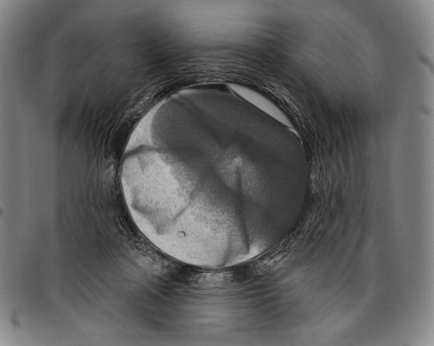 X0000096470314200802211157