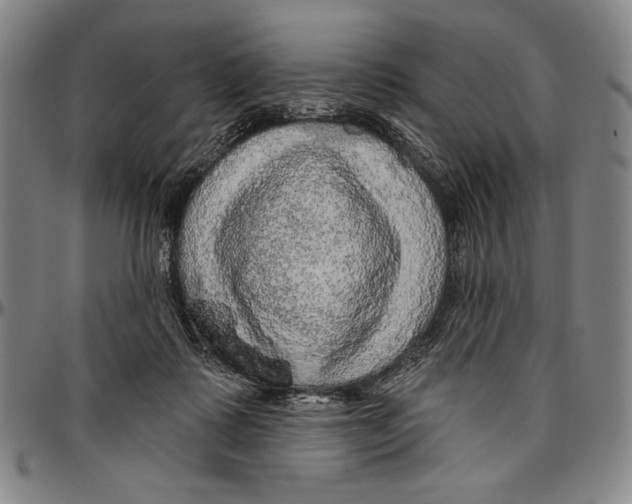 X0000096470315200802211157