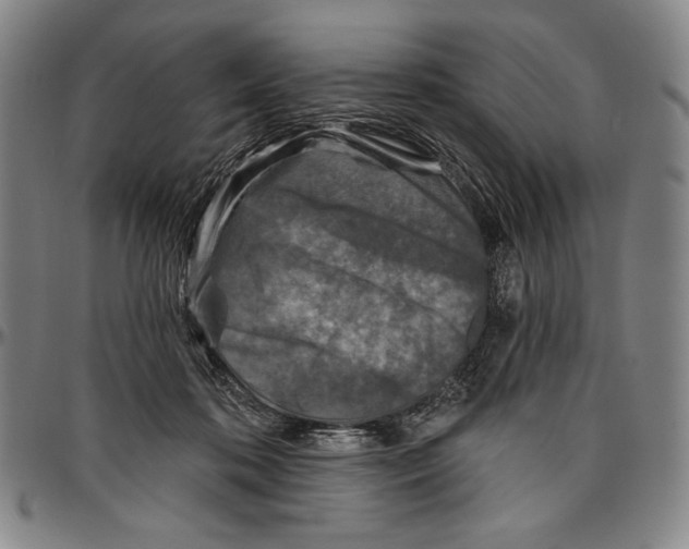 X0000096470316200802211157
