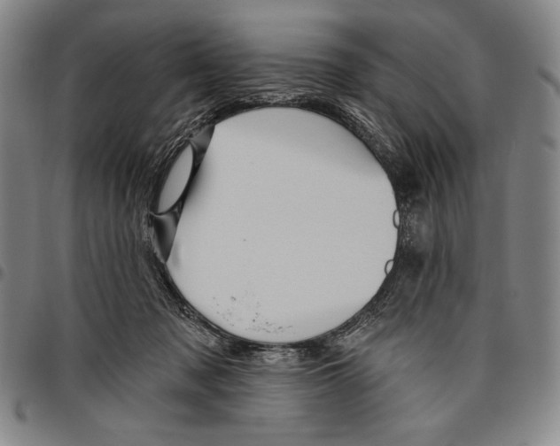 X0000096470317200802211157