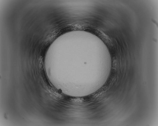 X0000096470318200802211157