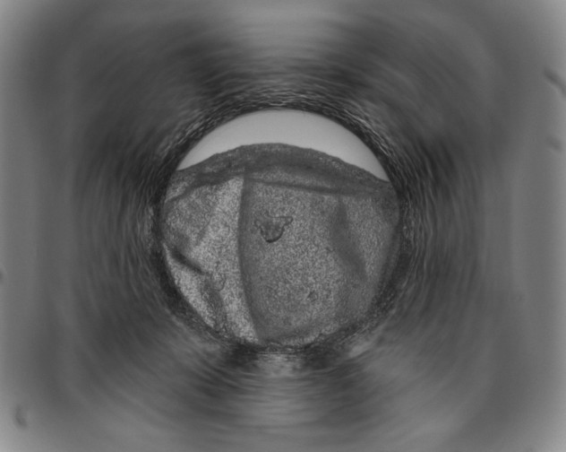X0000096470319200802211156