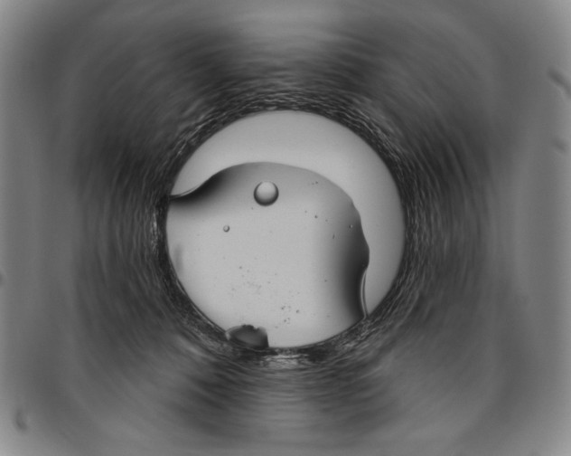 X0000096470320200802211156