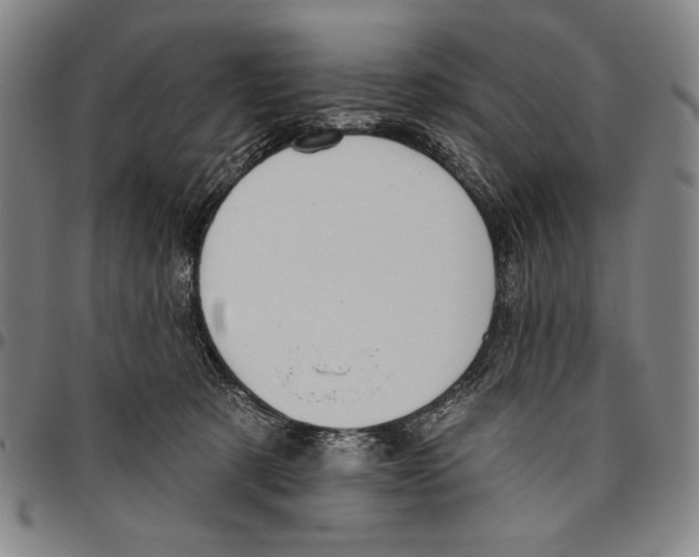 X0000096470321200802211156