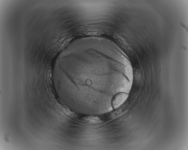 X0000096470322200802211156