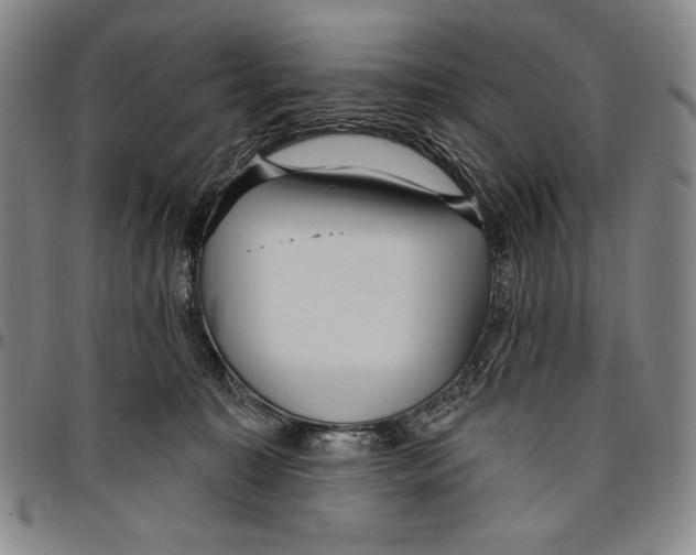 X0000096470323200802211156