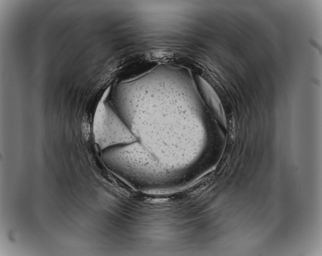 X0000096470324200802211156