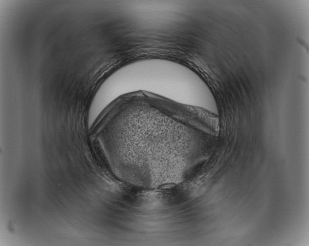 X0000096470325200802211156