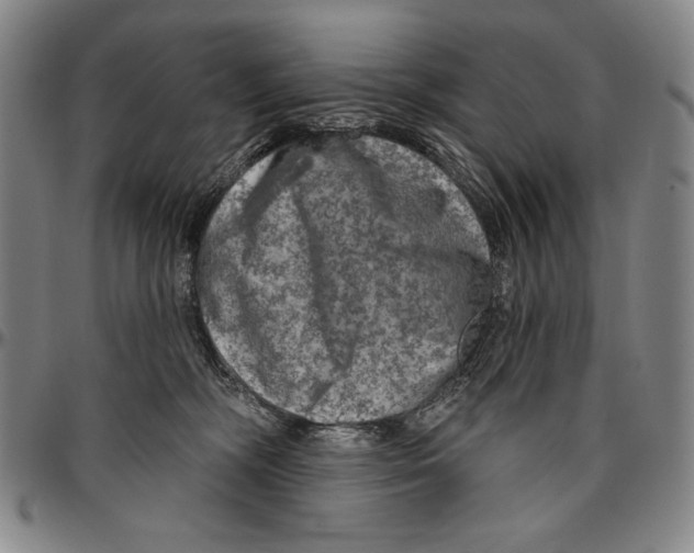 X0000096470326200802211156
