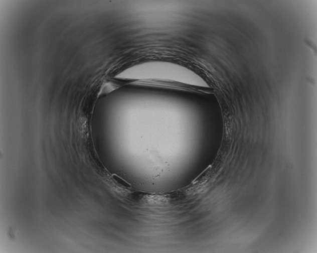X0000096470327200802211156