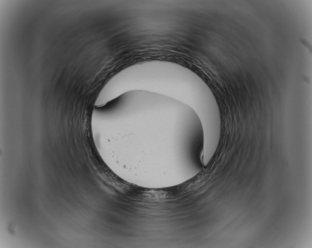 X0000096470328200802211156