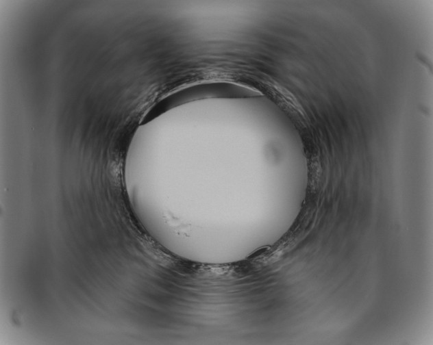 X0000096470329200802211156