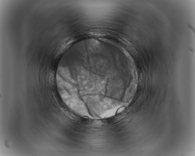X0000096470330200802211156