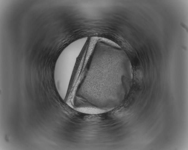 X0000096470331200802211156
