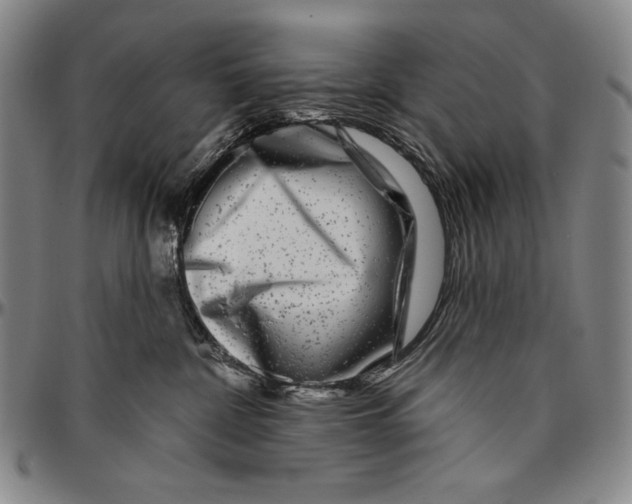 X0000096470332200802211156