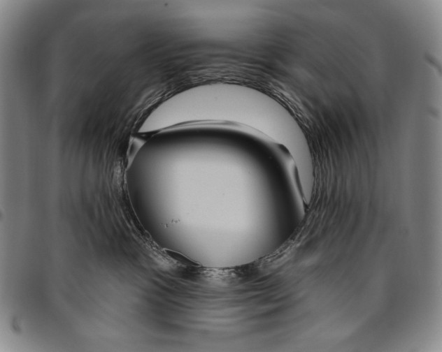 X0000096470333200802211156