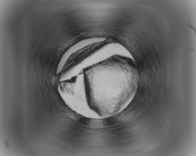X0000096470335200802211156