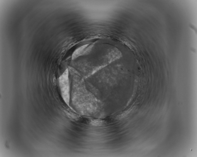 X0000096470336200802211156