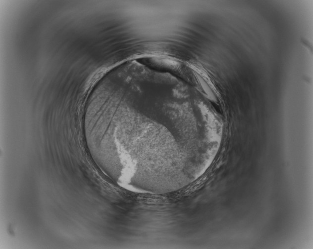 X0000096470337200802211156