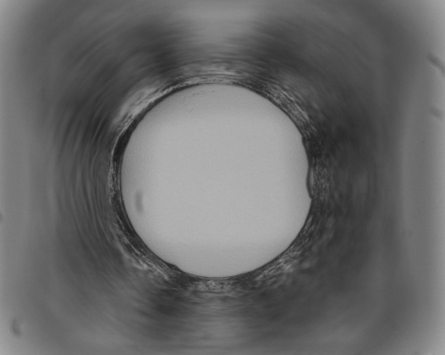 X0000096470338200802211156