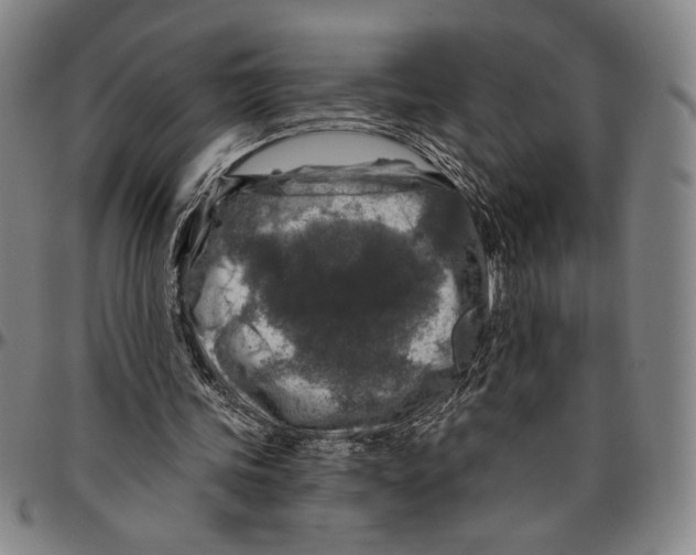 X0000096470339200802211156