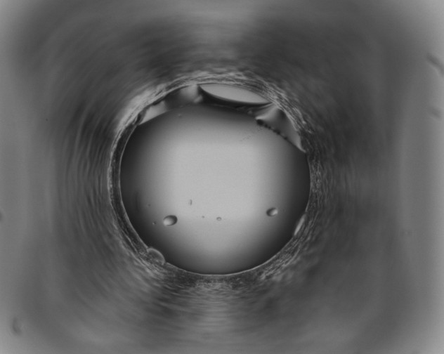 X0000096470340200802211156