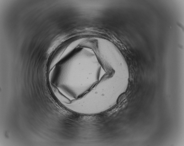 X0000096470341200802211156
