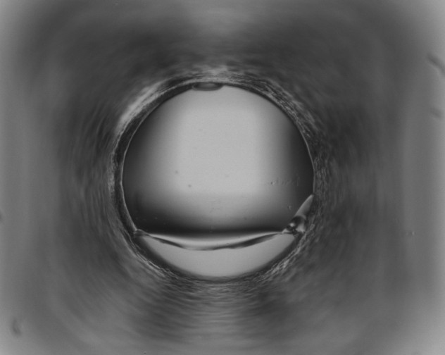 X0000096470344200802211156