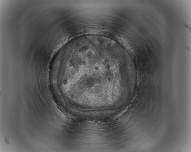 X0000096470346200802211156