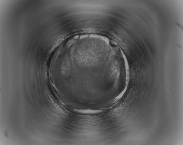 X0000096470347200802211156