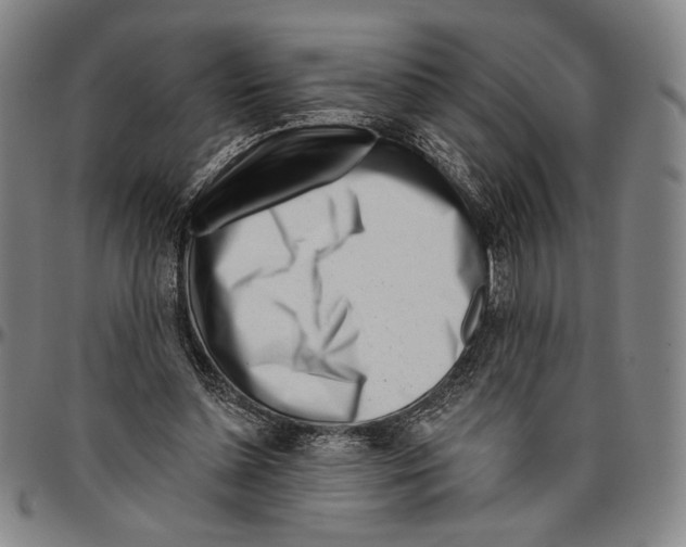 X0000096470348200802211156