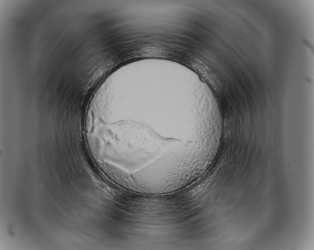 X0000096470349200802211156