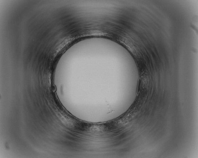 X0000096470350200802211156