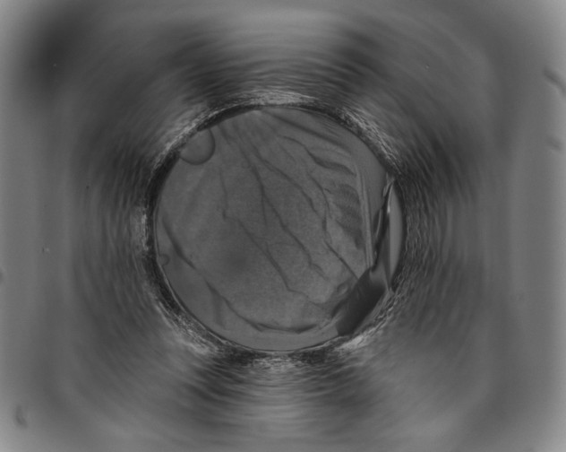 X0000096470351200802211156