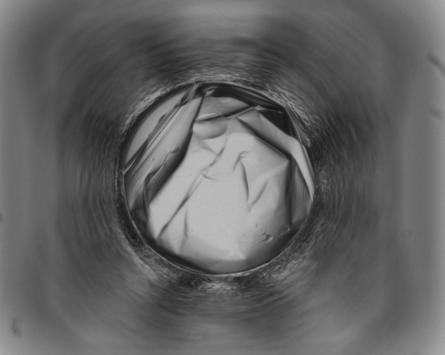 X0000096470352200802211156