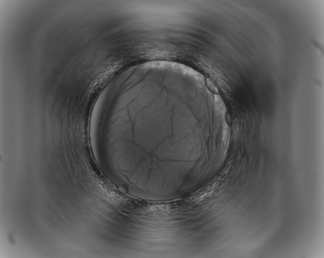 X0000096470353200802211156