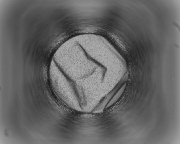 X0000096470354200802211156