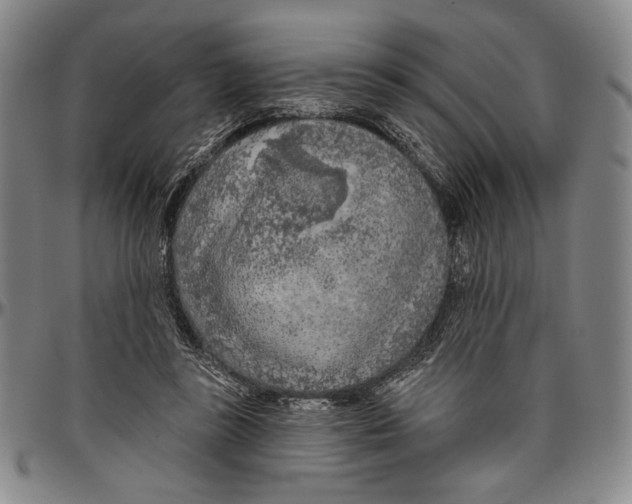 X0000096470355200802211156