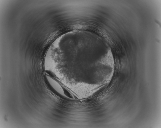 X0000096470357200802211156