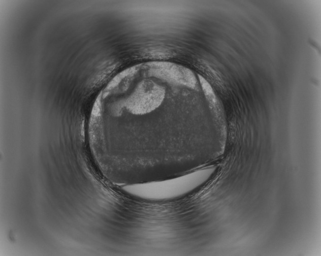 X0000096470358200802211156