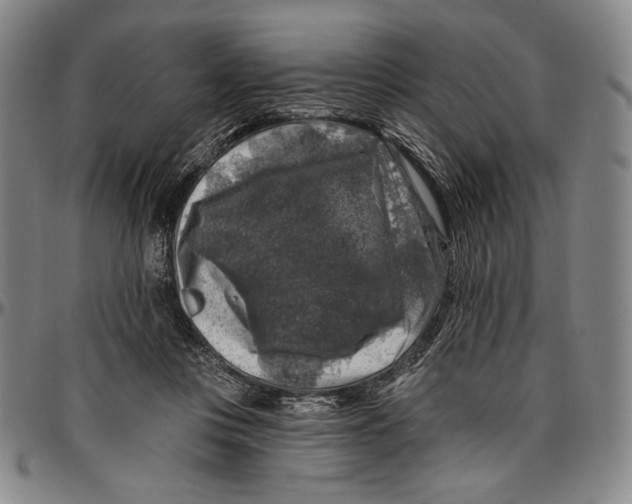 X0000096470359200802211156