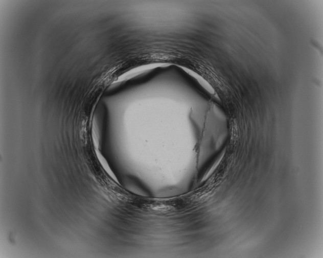 X0000096470360200802211156
