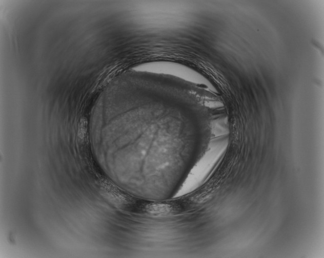 X0000096470361200802211156