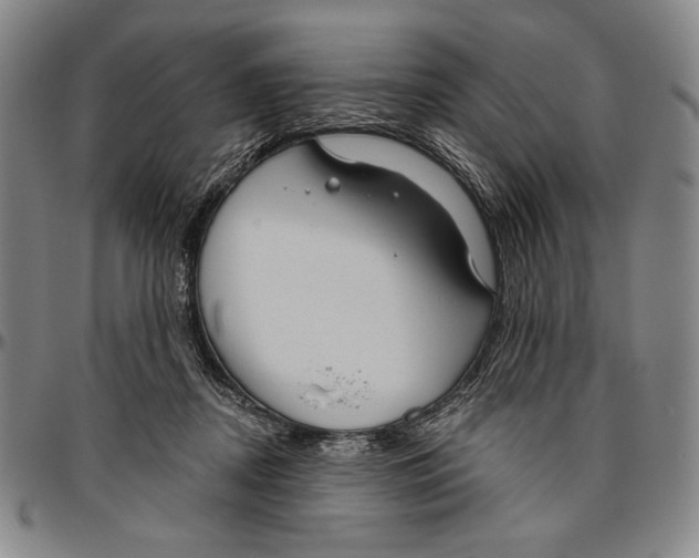 X0000096470362200802211156
