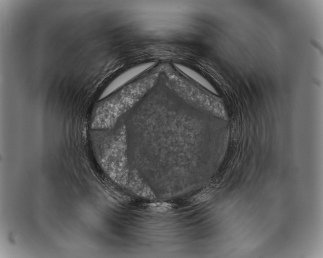 X0000096470363200802211156