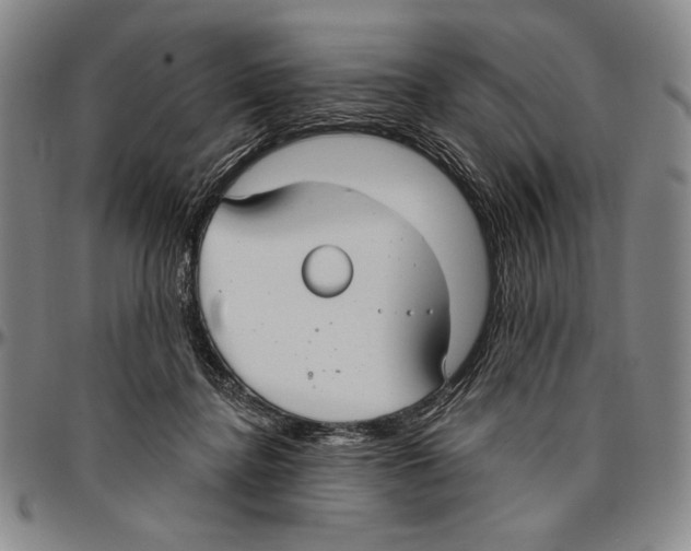 X0000096470364200802211156