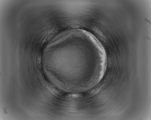 X0000096470365200802211156